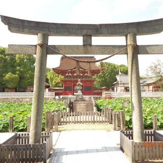 伊賀八幡宮の写真15