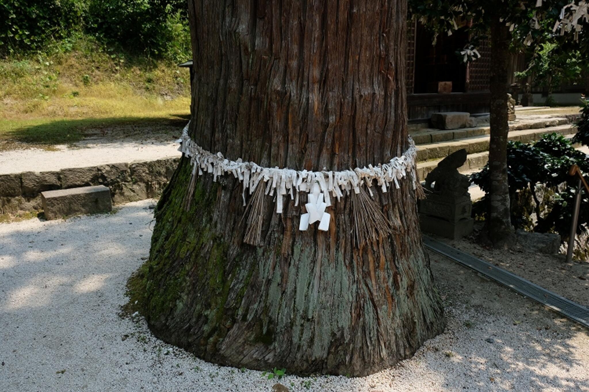 須我神社の代表写真5