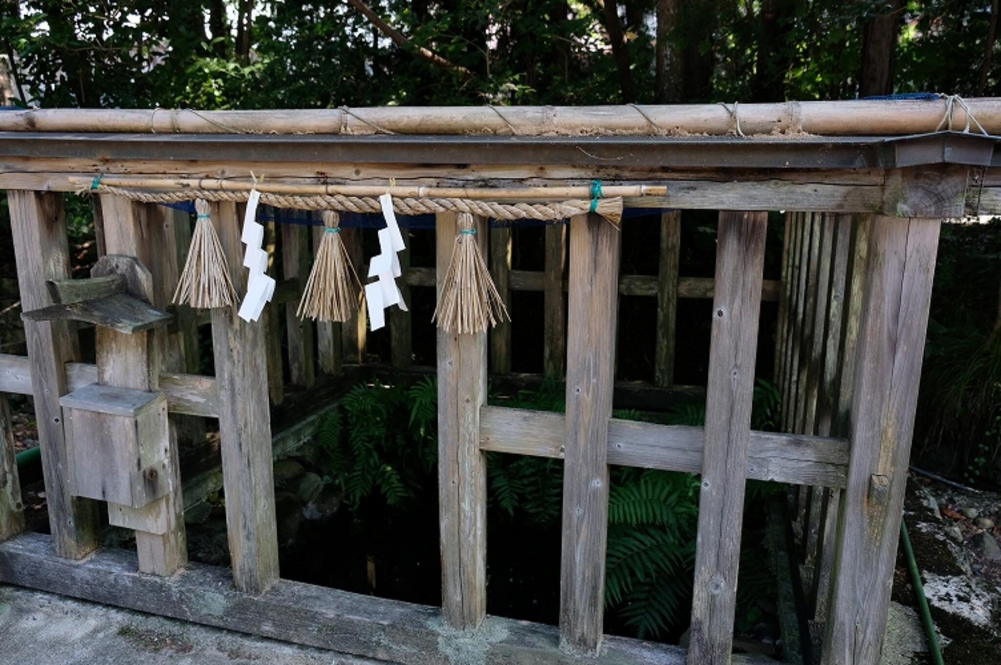 須佐神社の代表写真6