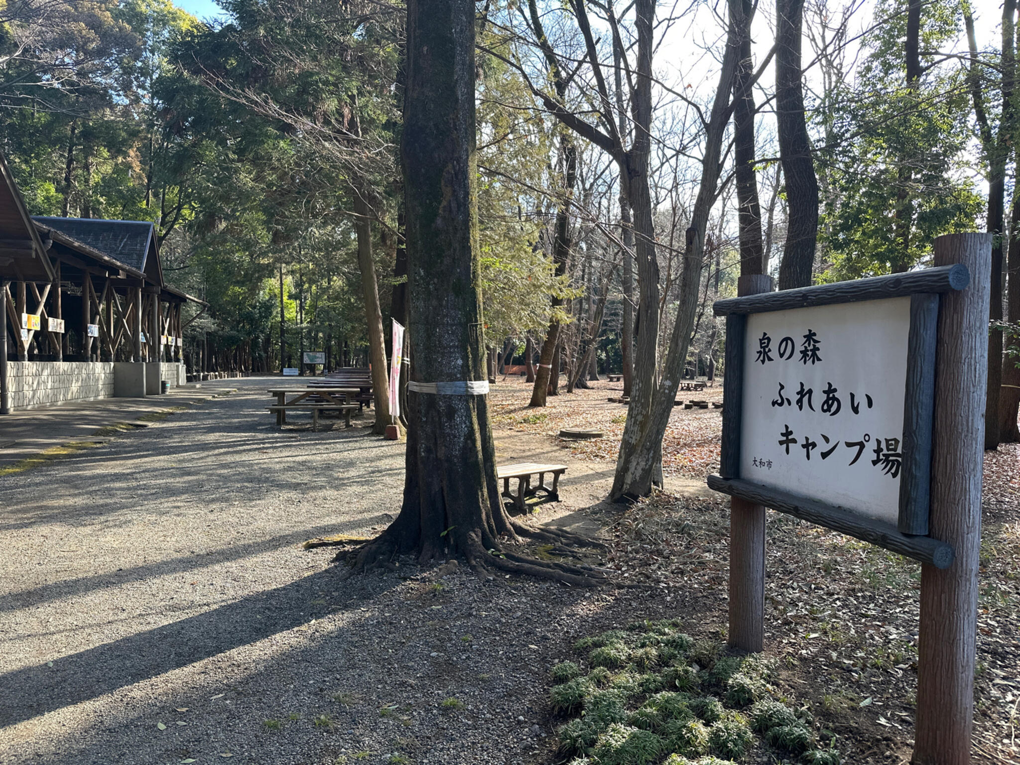 大和市泉の森ふれあいキャンプ場の代表写真6