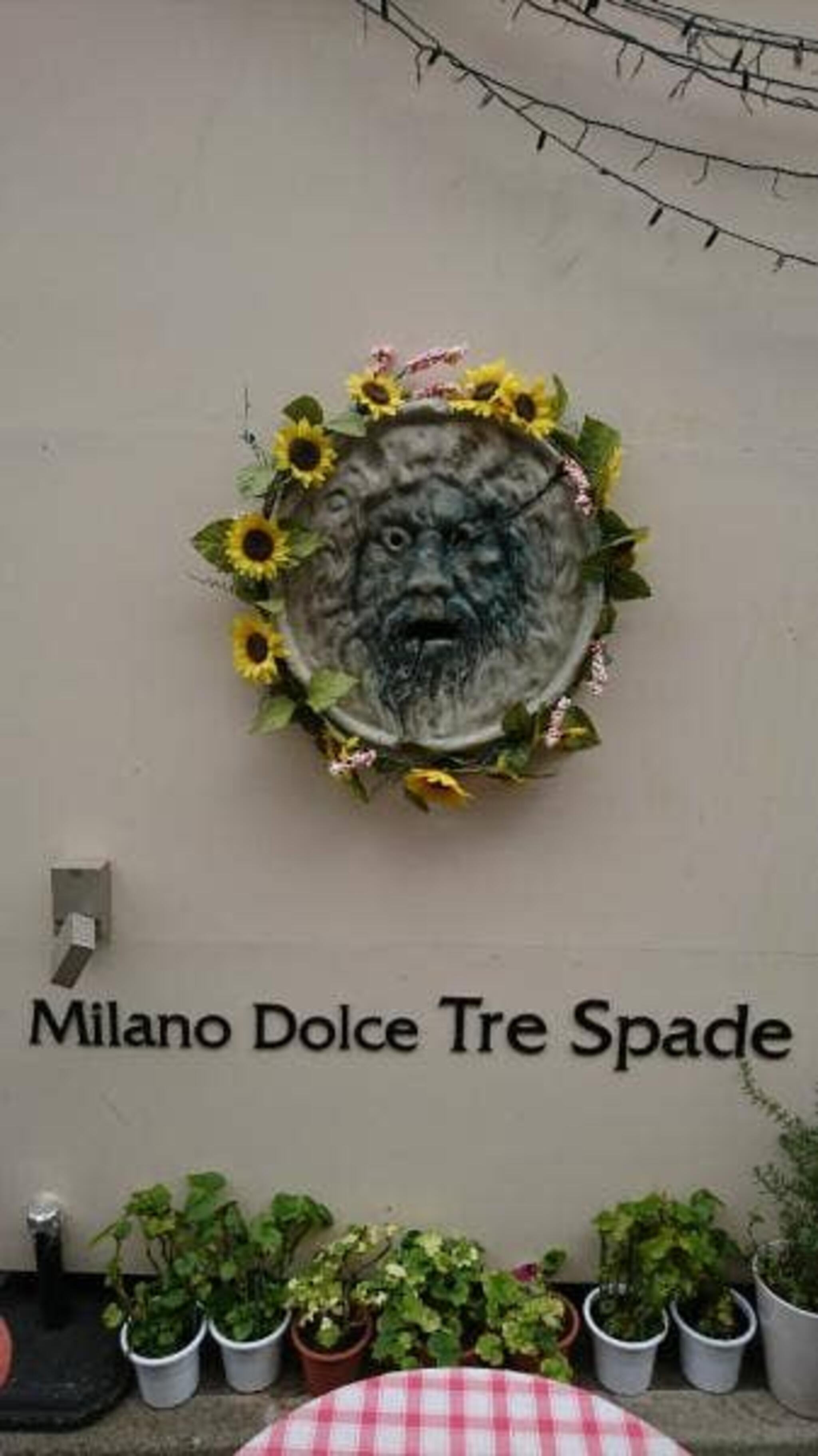 Milano Dolce Tre Spadeの代表写真4