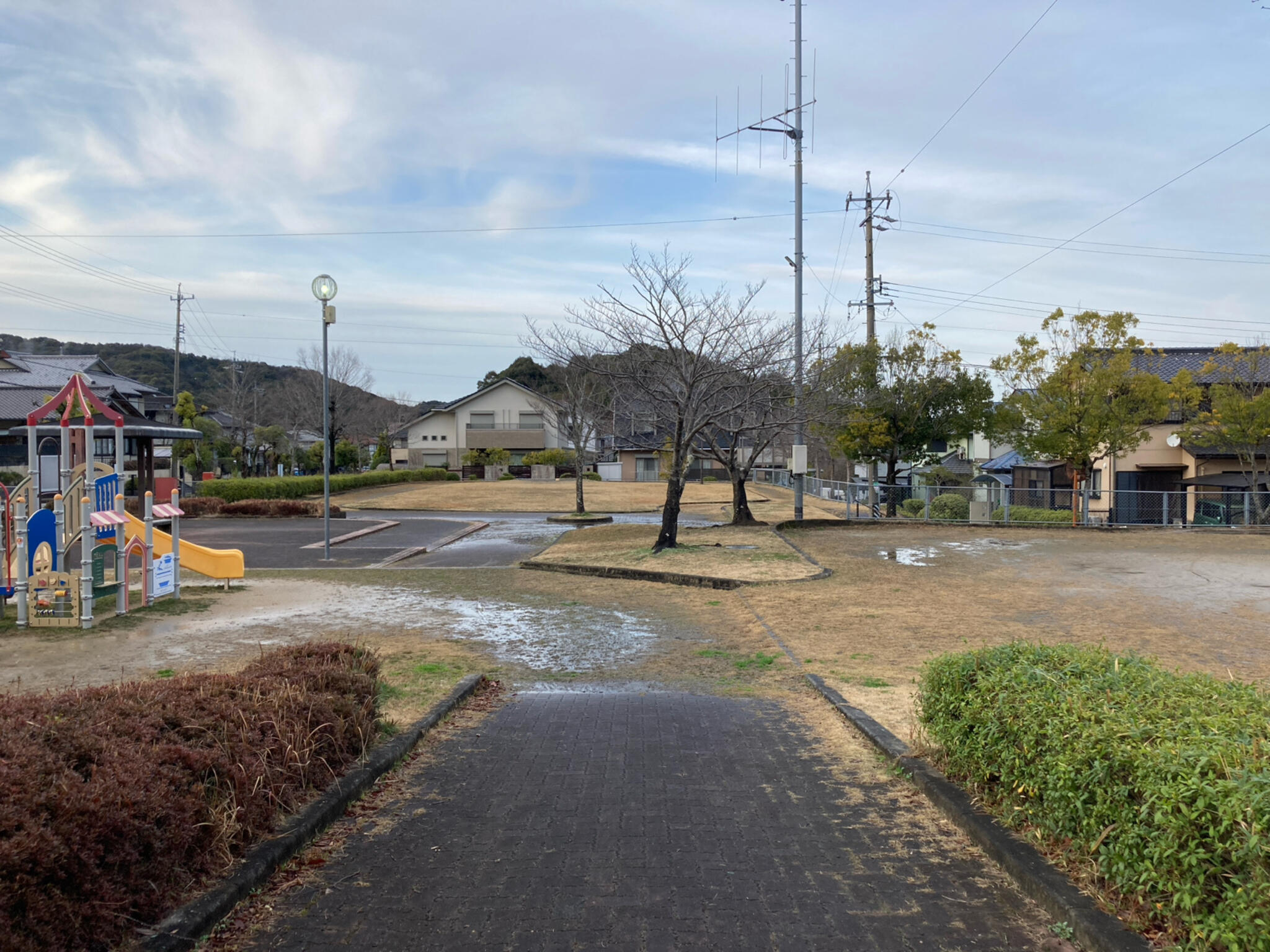 中央公園の代表写真5