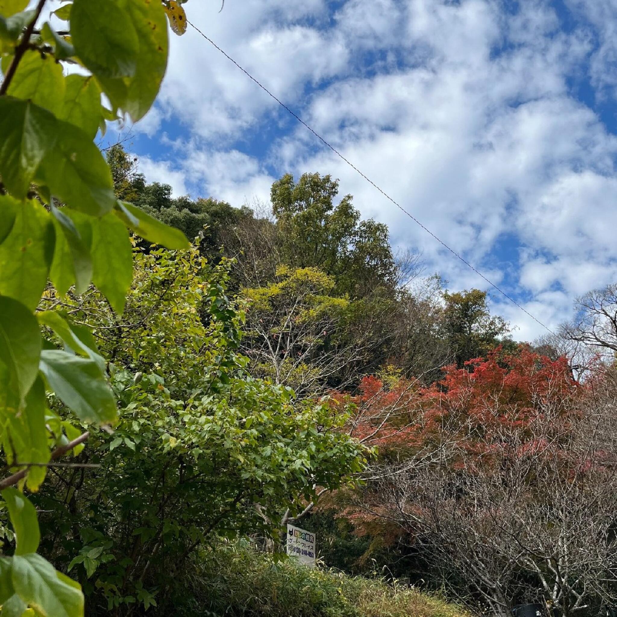 658-0063 兵庫県神戸市東灘区住吉山手６丁目６ 安い １５５１ 神戸住吉ペット霊園