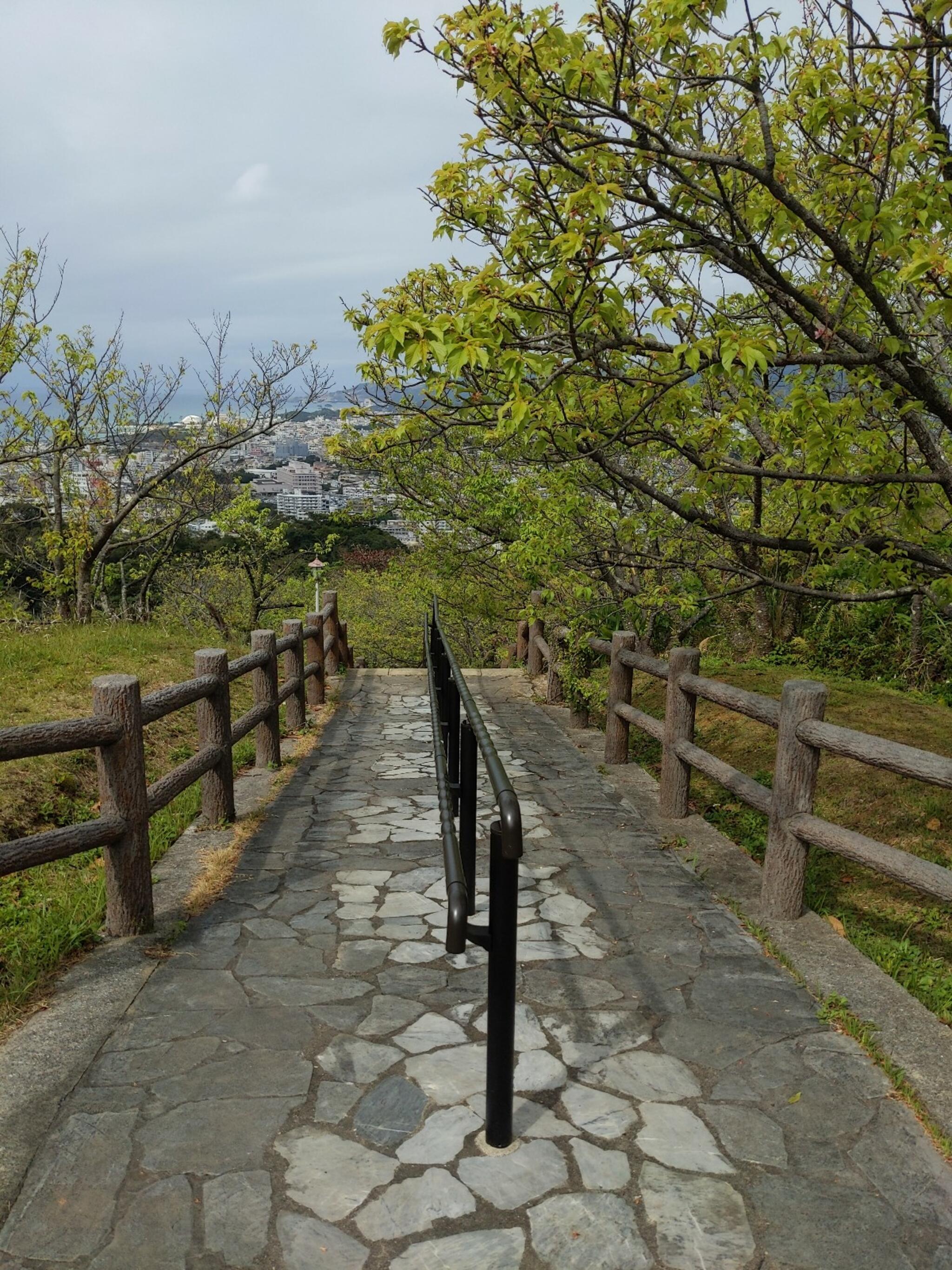 名護城公園 さくらの園の代表写真3