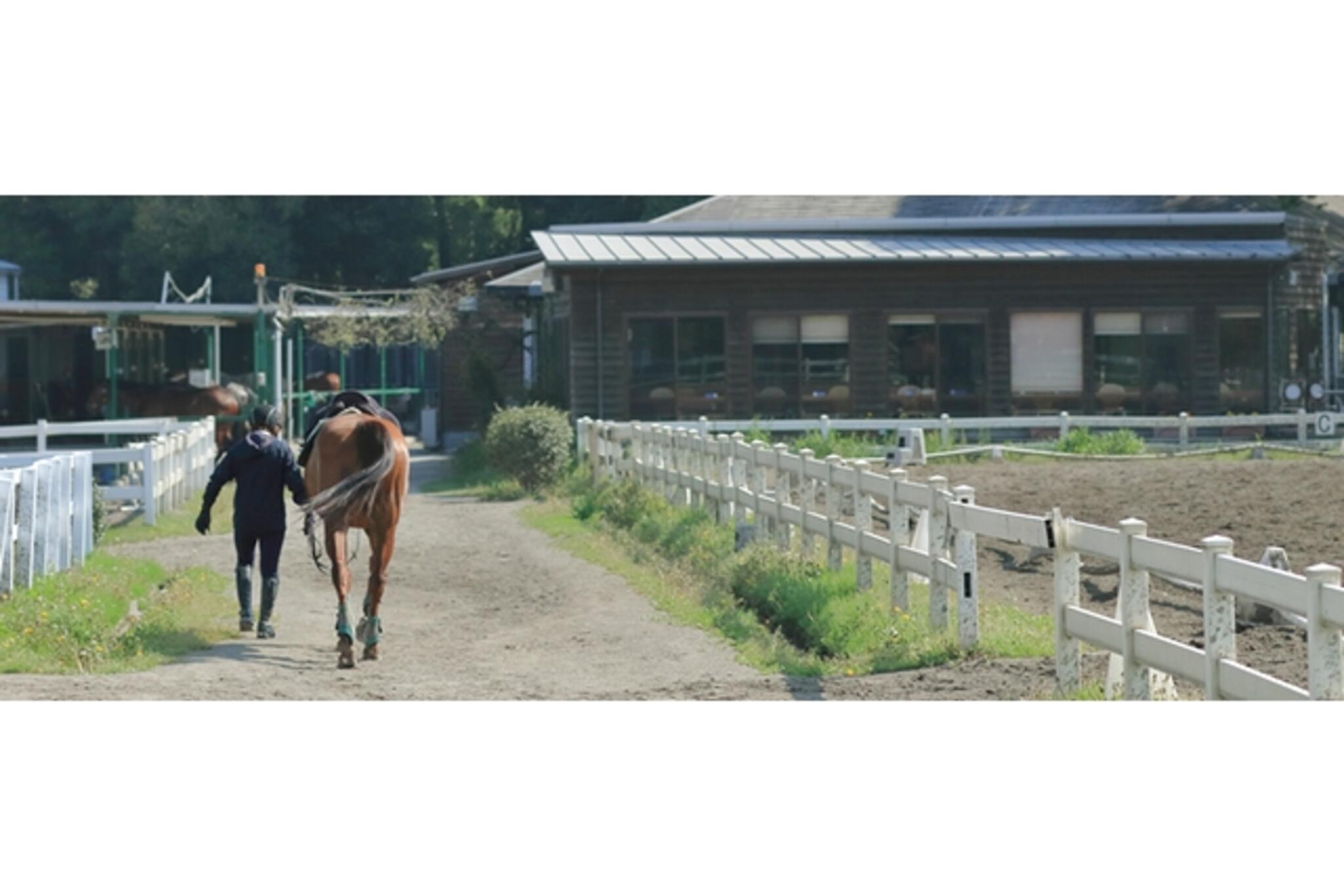 乗馬クラブ クレイン竜ヶ崎 - 龍ケ崎市貝原塚町/乗馬教室 | Yahoo!マップ