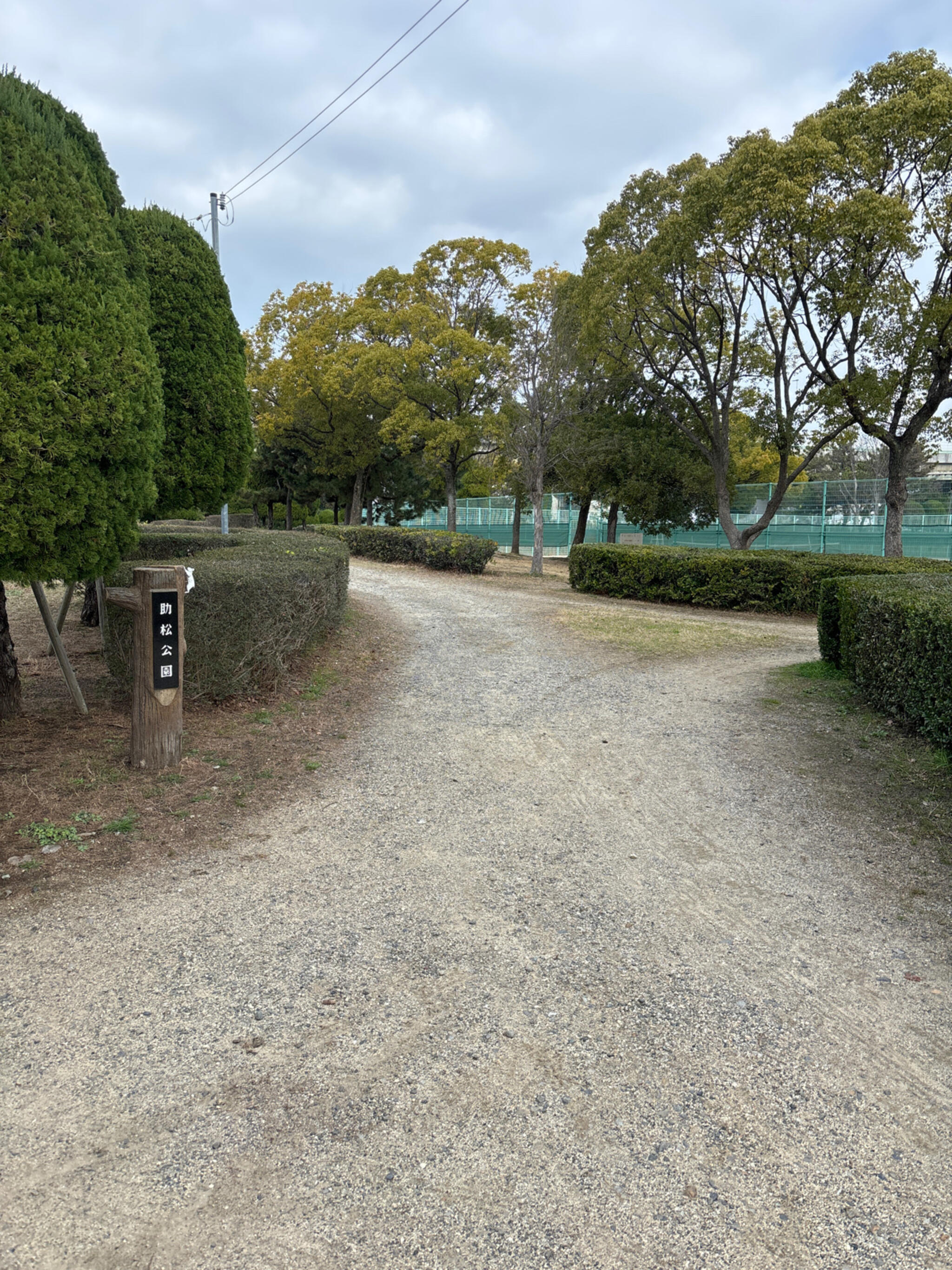 助松公園の代表写真4
