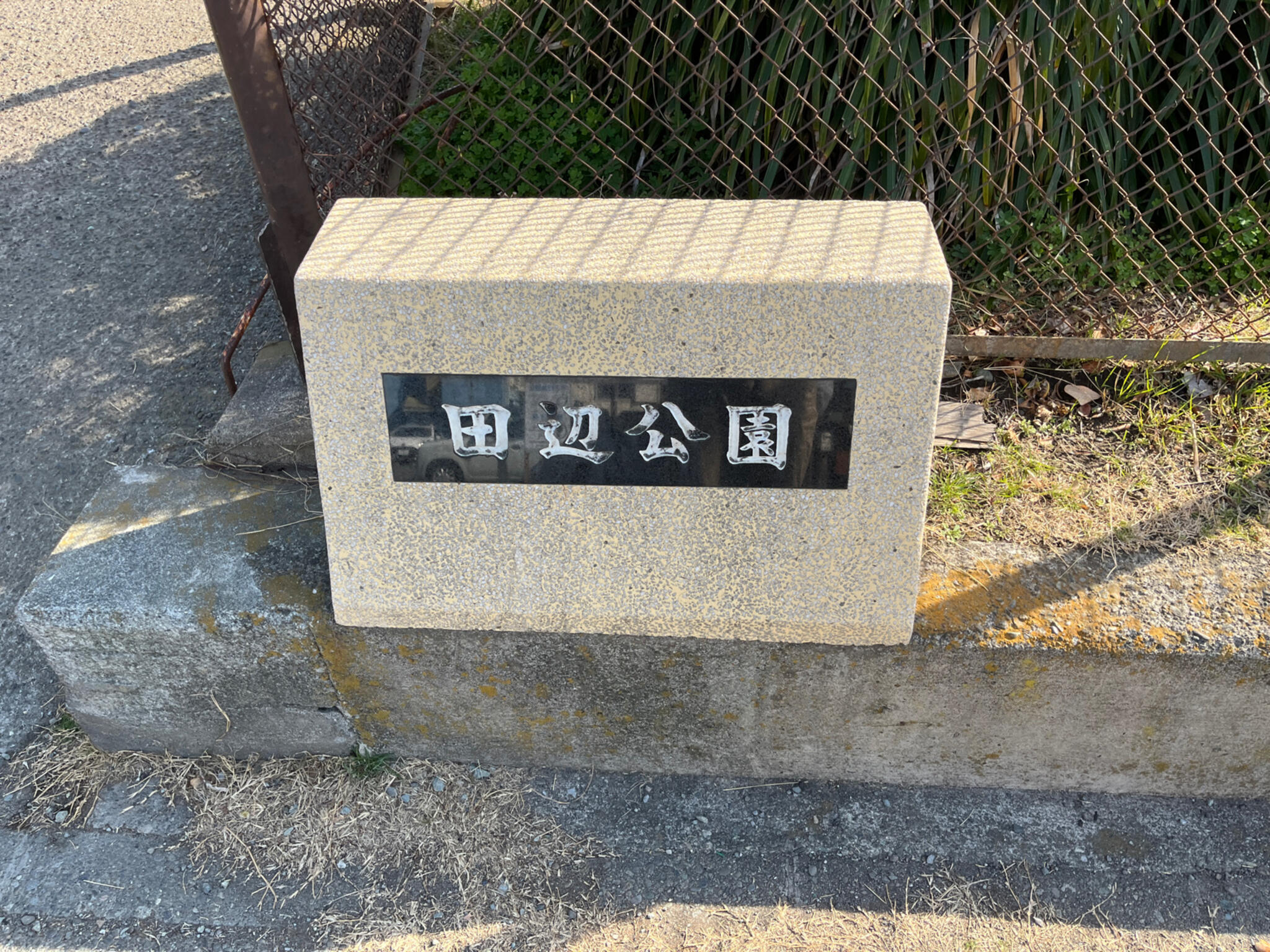 田辺公園(鎌倉市)の代表写真8