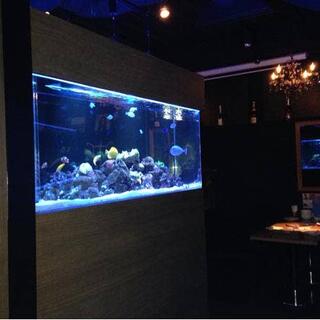aquarium dining サカナノセカイの写真13