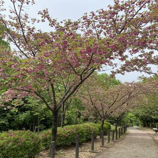 名古屋市東山動植物園の写真13
