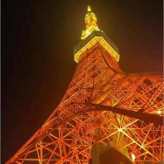 東京タワーの写真13