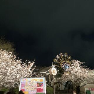神戸市立王子動物園の写真21
