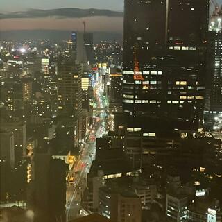 東京タワーの写真15