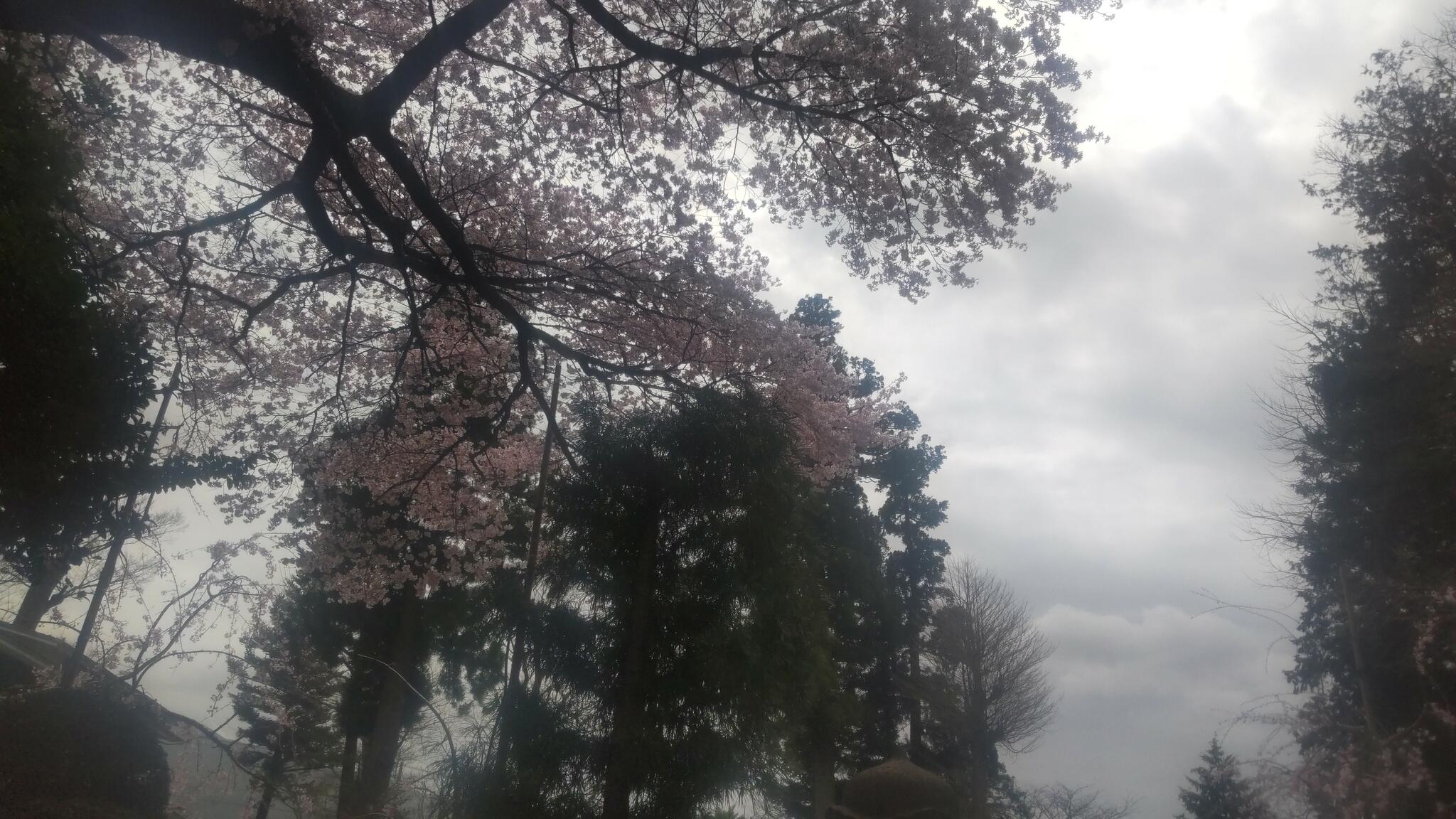 浅間神社の代表写真3