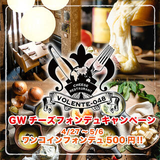 チーズ料理レストラン VOLENTE-048の写真12