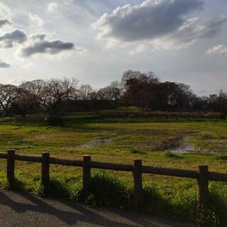 城山古墳史跡公園周濠花菖蒲園の写真5