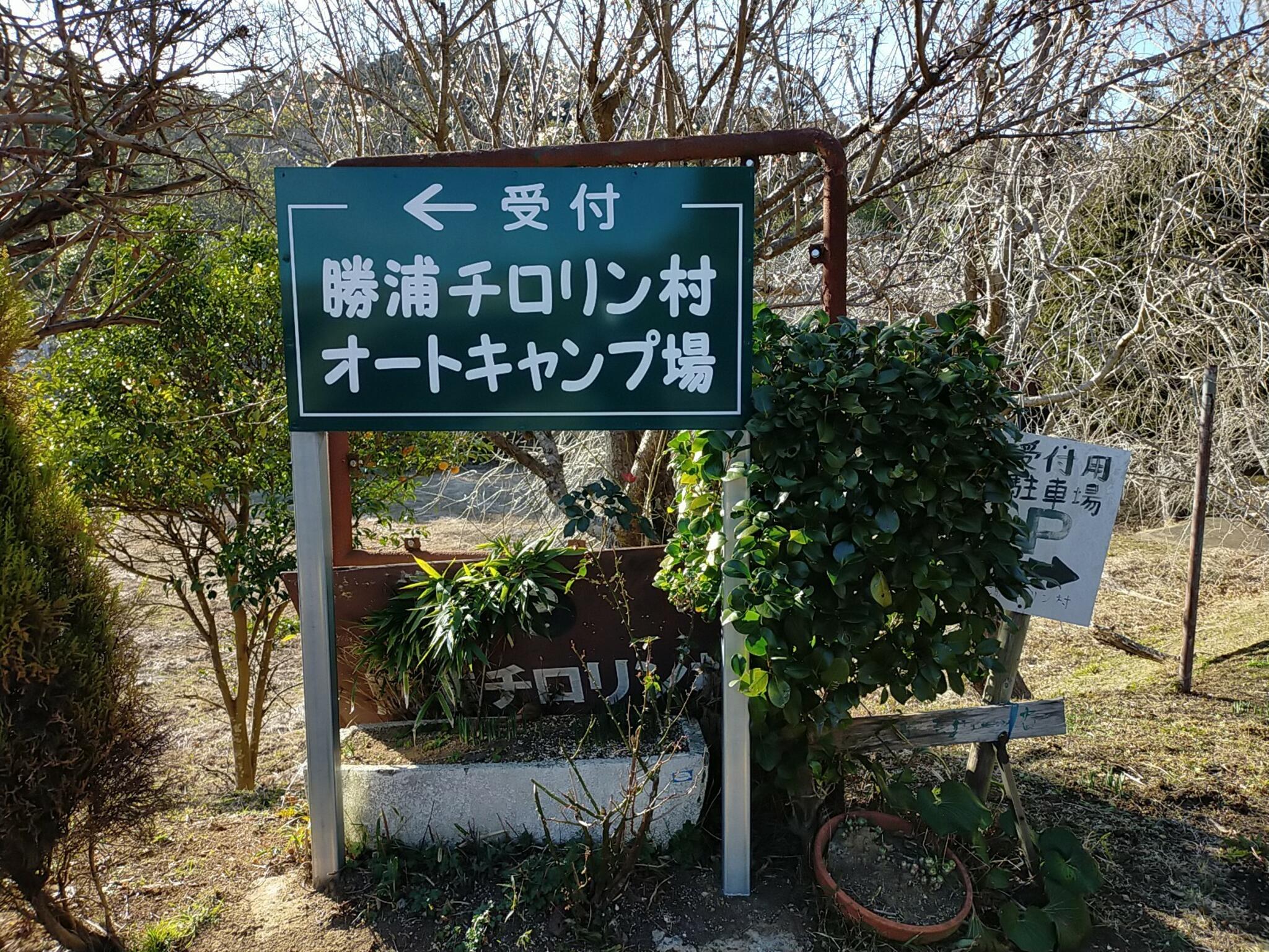 勝浦チロリン村 オートキャンプ場の代表写真7