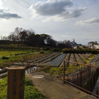 城山古墳史跡公園周濠花菖蒲園の写真6