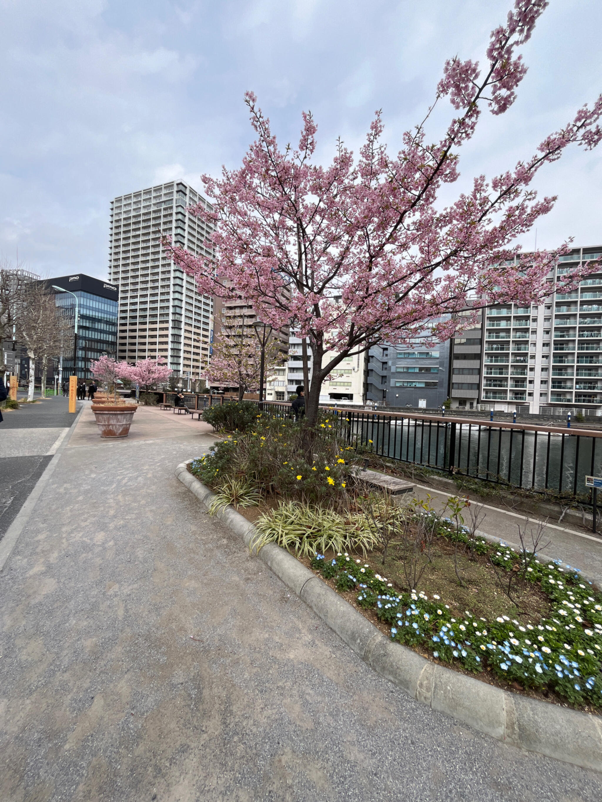 亀島川公園の代表写真5