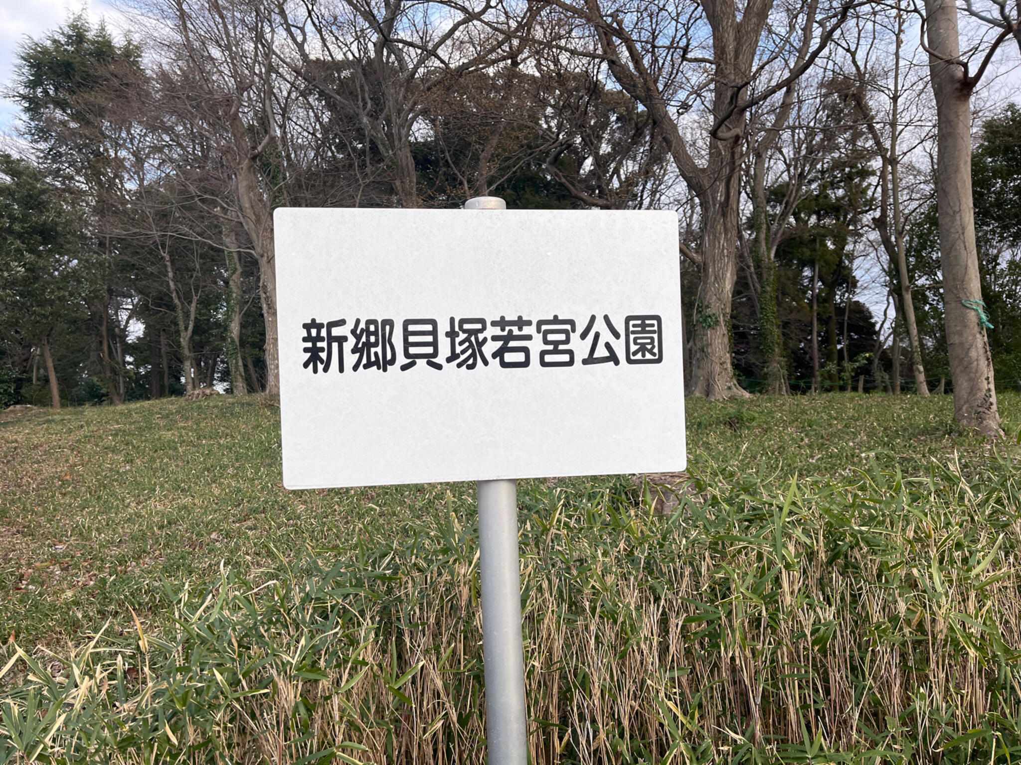 新郷若宮公園の代表写真2