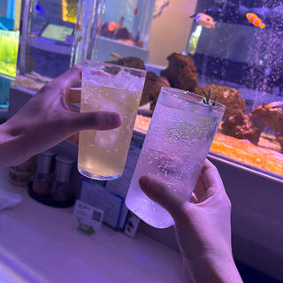 aquarium dining サカナノセカイの写真12