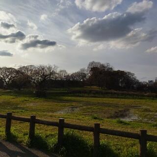 城山古墳史跡公園周濠花菖蒲園の写真4