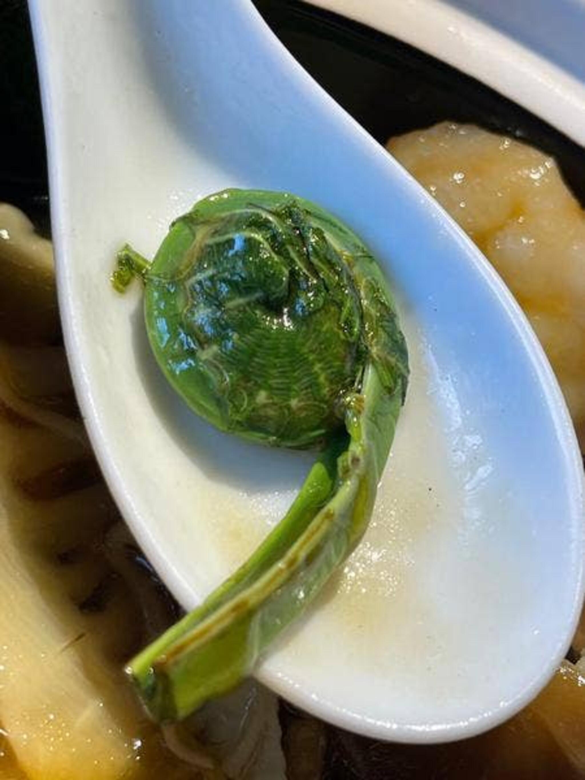 中国料理 SHI-EN(シーエン)/ホテル イタリア軒(ニューオータニ アソシエイトホテル)の代表写真8