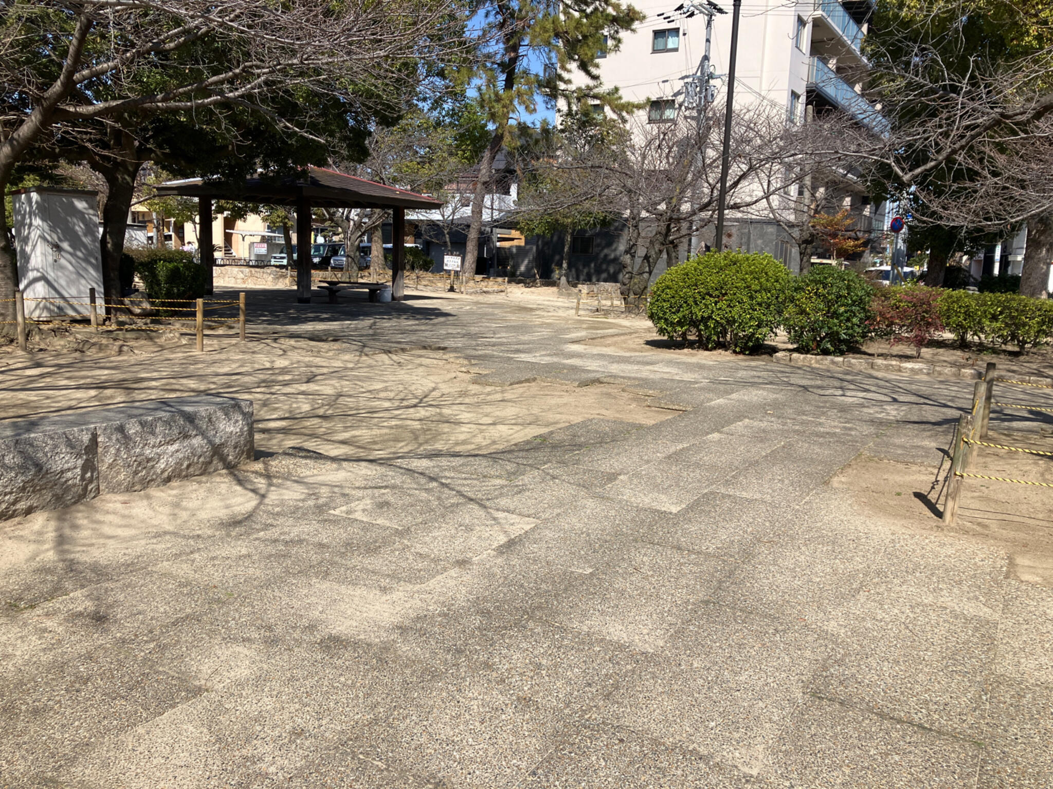 若松公園の代表写真6