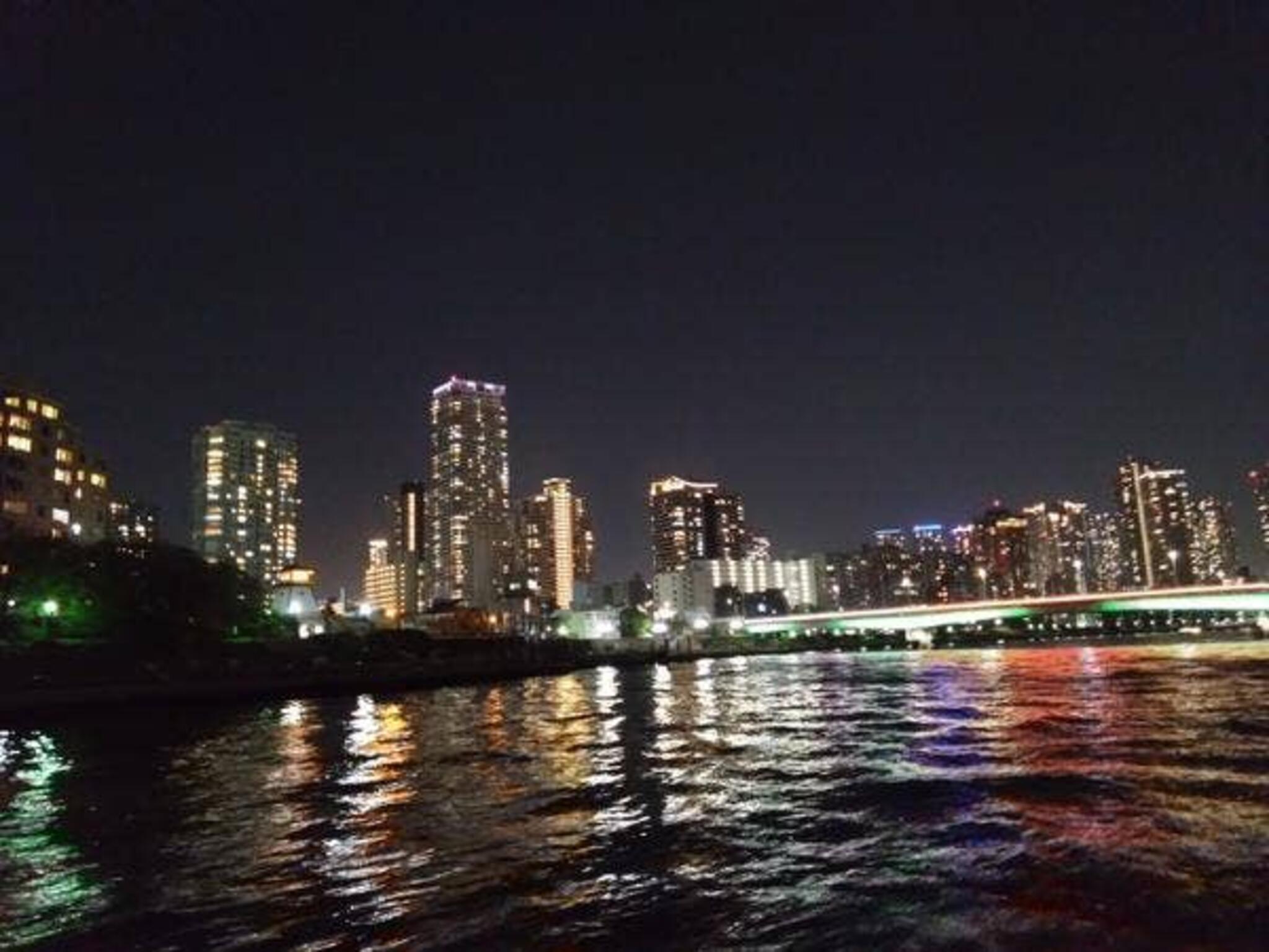 東京夜景 貸切宴会 屋形船 平井の代表写真7
