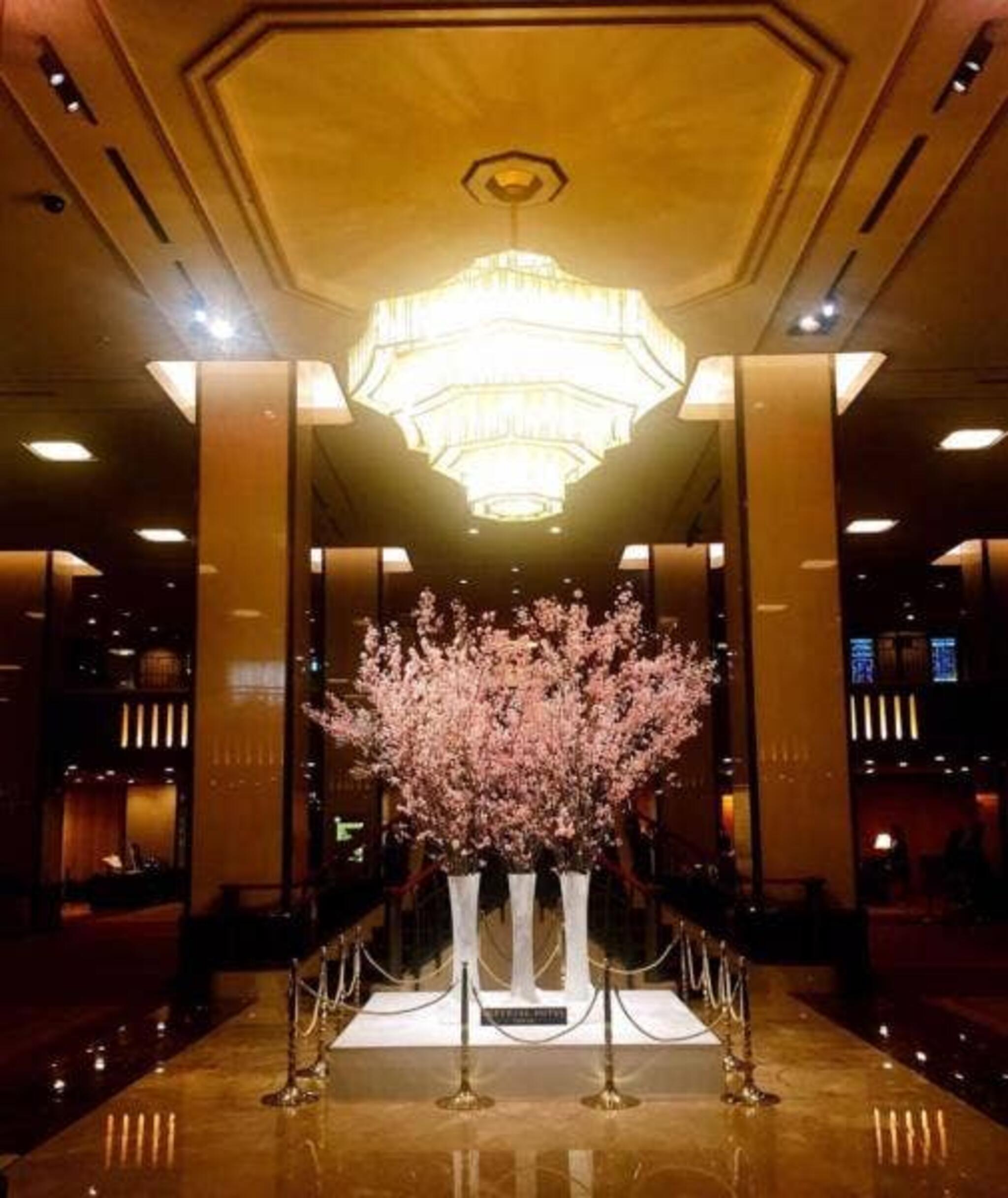 帝国ホテル 東京 オールドインペリアルバーの代表写真5