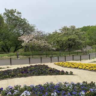 名古屋市東山動植物園の写真14
