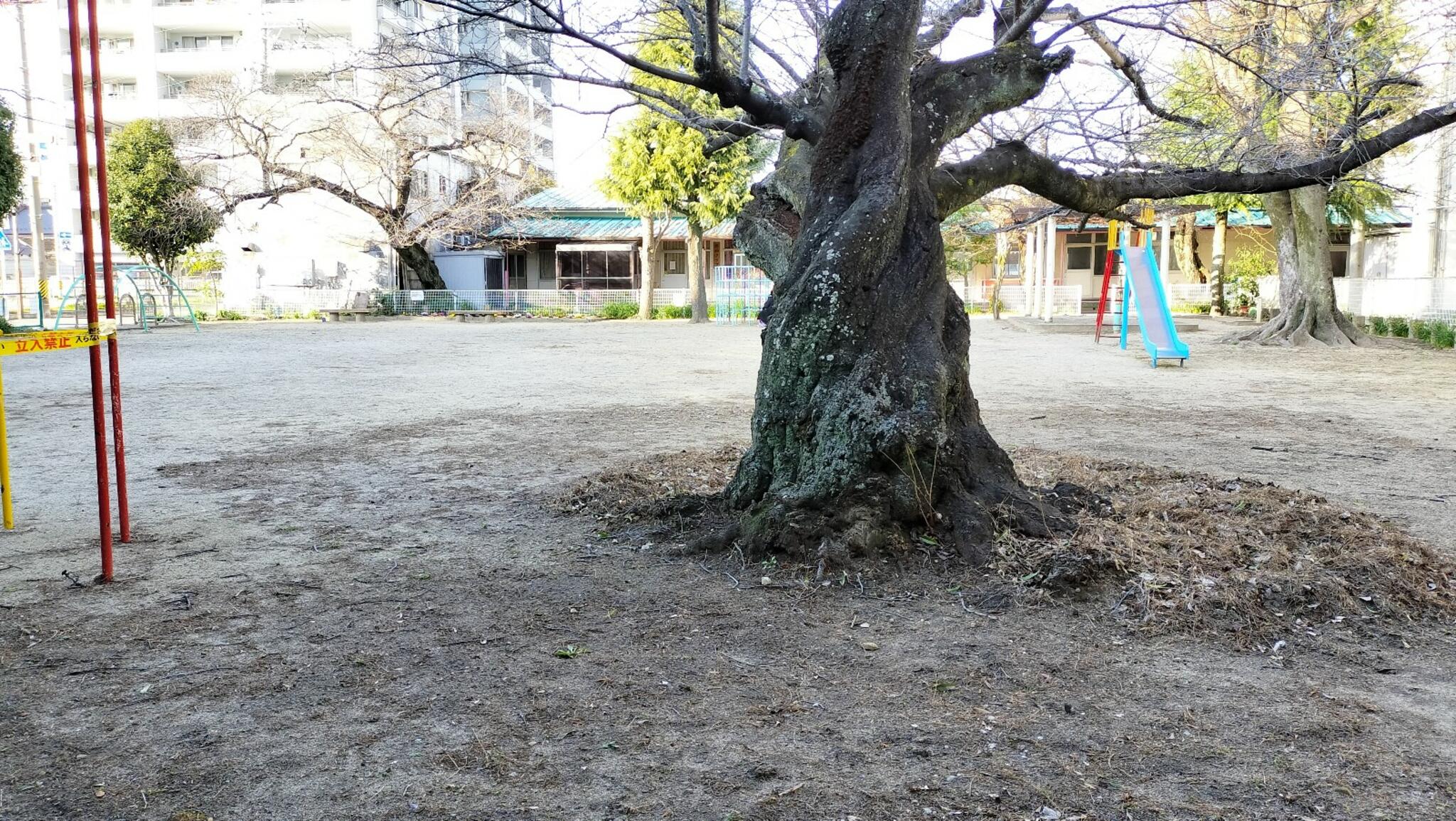 精義公園の代表写真4