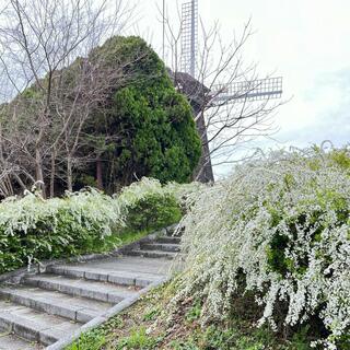 花博記念公園鶴見緑地の写真21