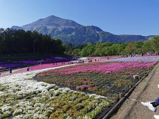 羊山公園のクチコミ写真2