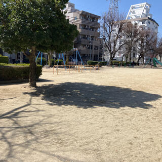 若松公園の写真13