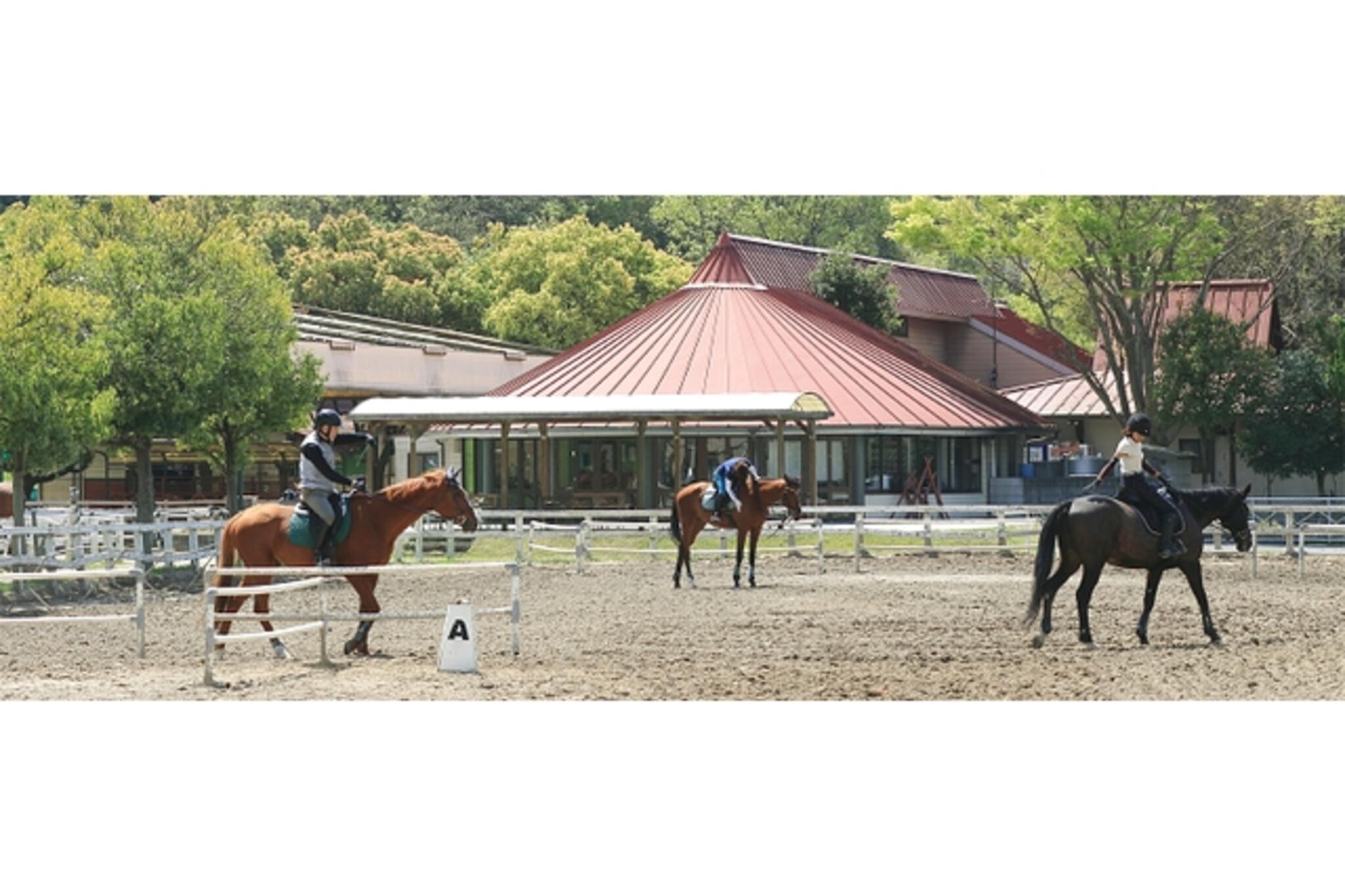 クチコミ : 両備乗馬クラブ・クレイン岡山 - 岡山市東区寺山/乗馬教室 | Yahoo!マップ