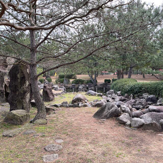 浜山公園林間こども広場の写真11