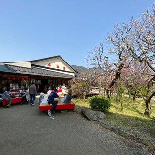 小山田茶店の写真19
