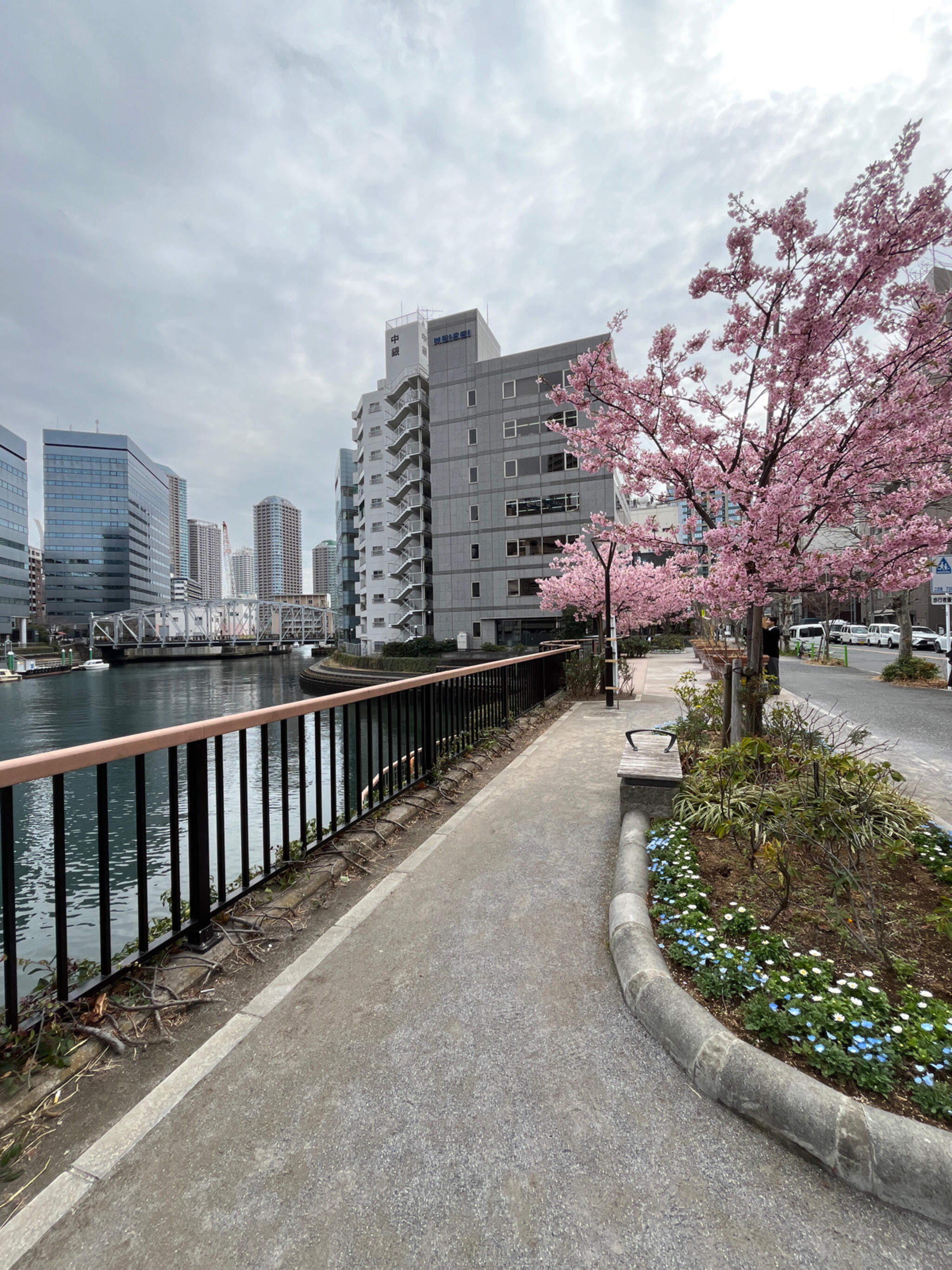 亀島川公園の代表写真1