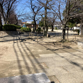 若松公園の写真4