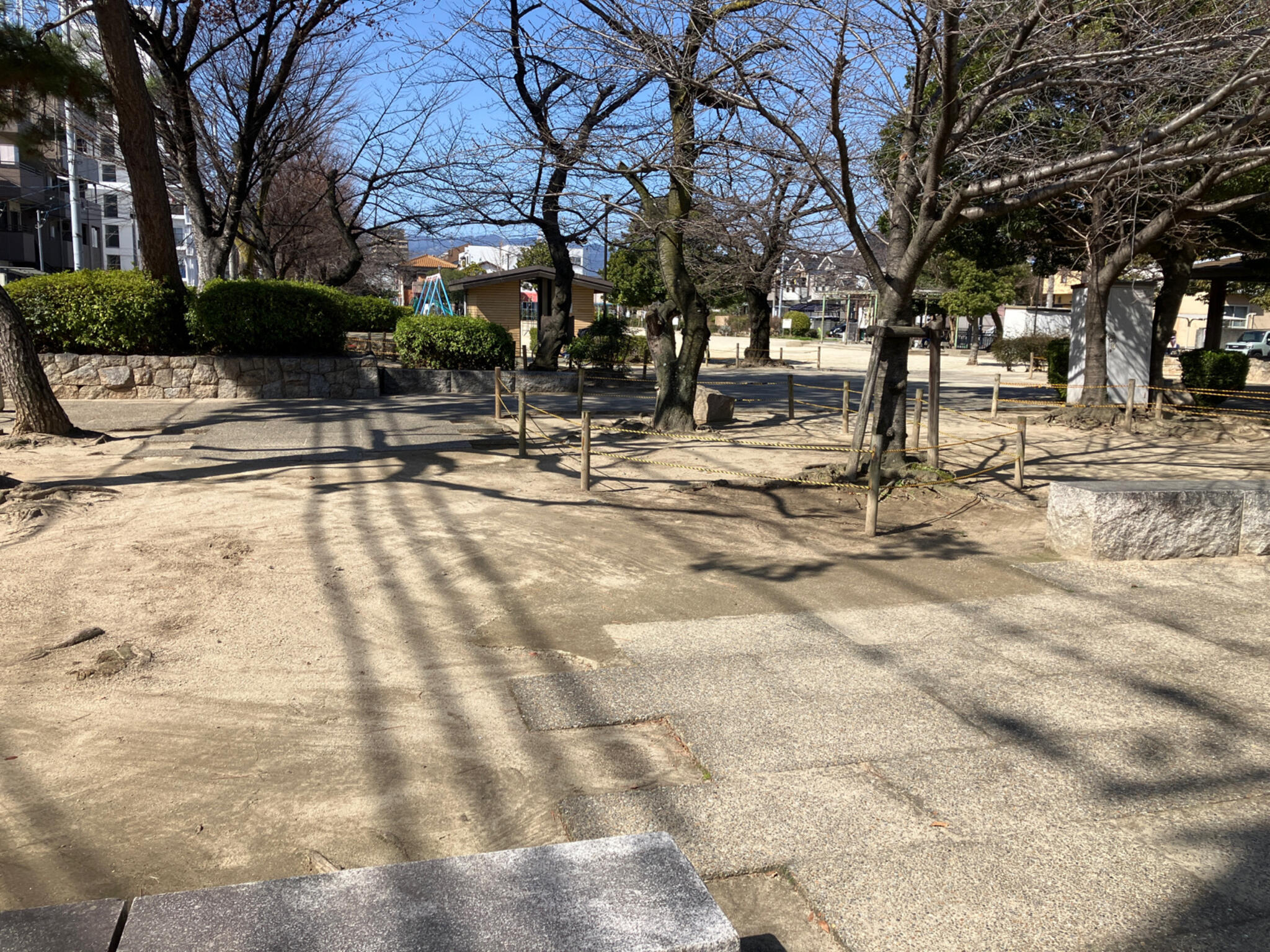 若松公園の代表写真4