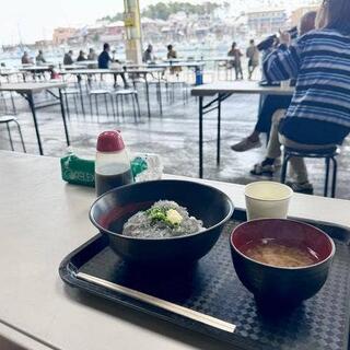 田子の浦港 漁協食堂の写真18