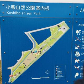 小柴自然公園の写真12