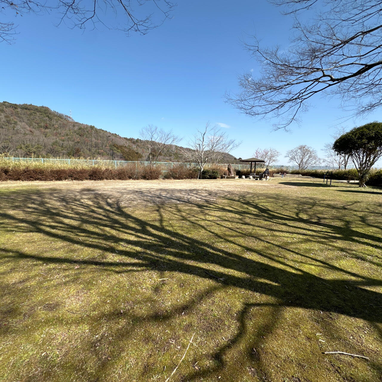 西宮市山口町船坂の民俗 最も安い