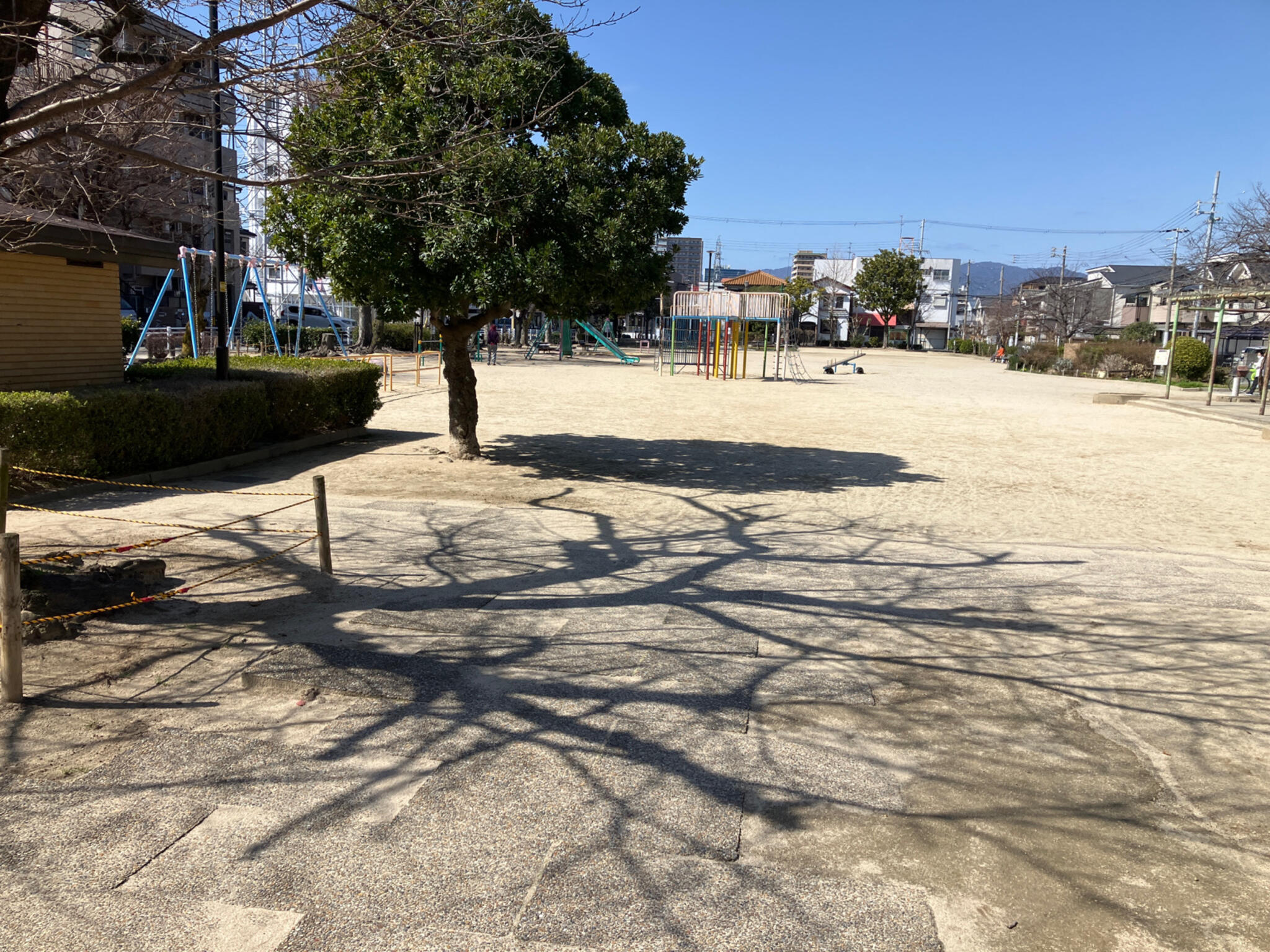 若松公園の代表写真9