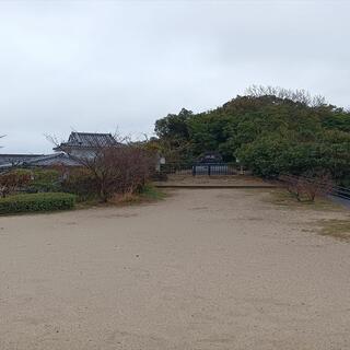 夷山緑地の写真2