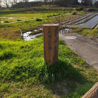 城山古墳史跡公園周濠花菖蒲園の写真9