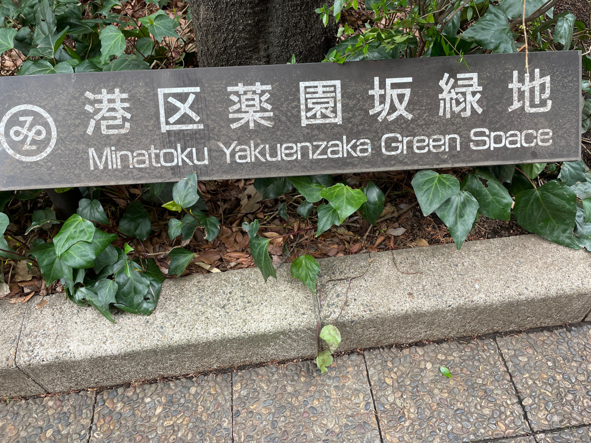 薬園坂緑地の代表写真3