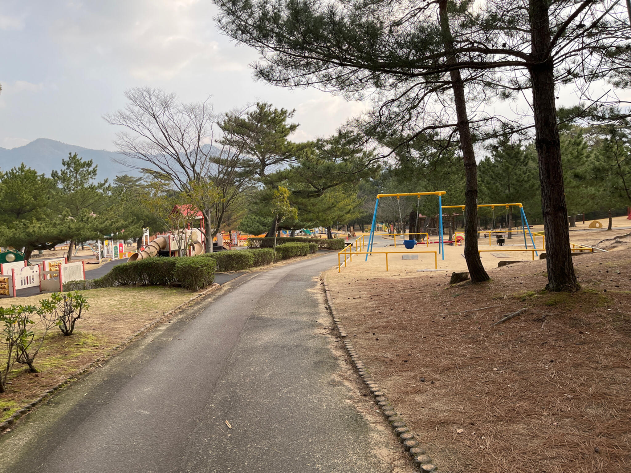 浜山公園林間こども広場の代表写真4