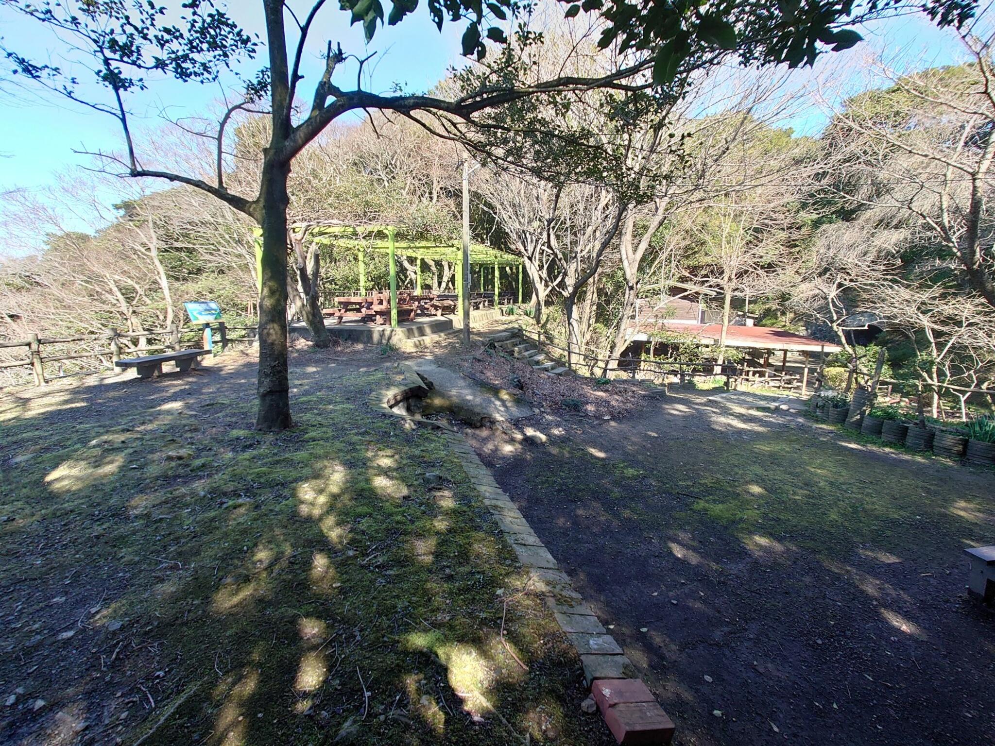 矢筈山キャンプ場の代表写真7