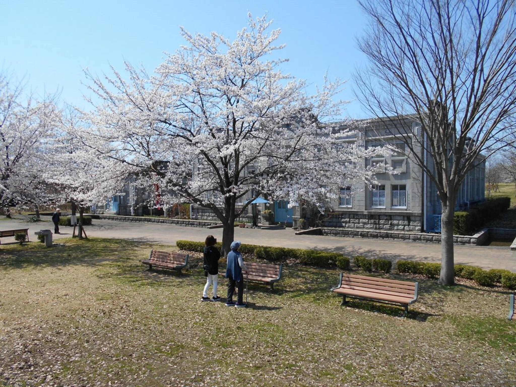 あさひガーデン長岡水道町の代表写真5